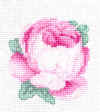 tina-rose.jpg (44401 bytes)
